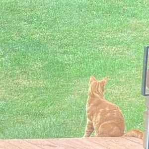 Meet your Posher, Aubrey